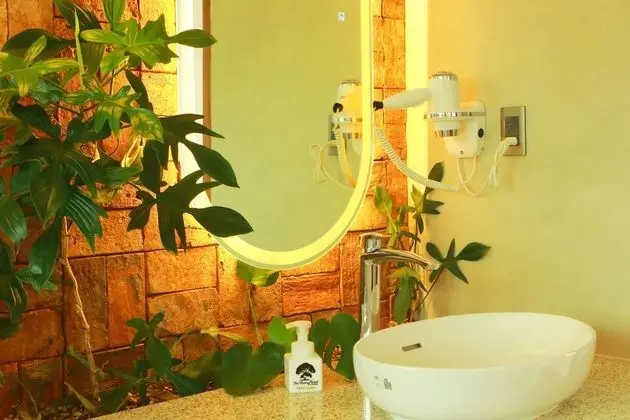 Executive Stüdyo, Balkon, Şehir Manzaralı