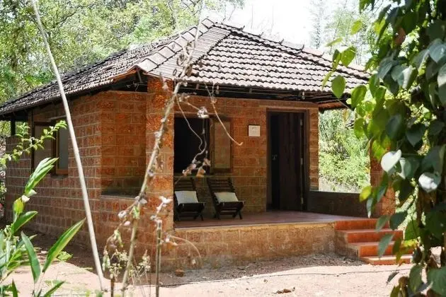 Superior Bungalov, 1 Yatak Odası, Teras, Bahçe Manzaralı