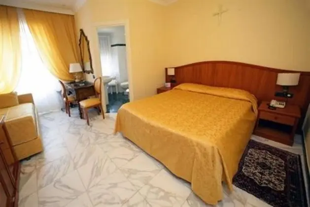 Superior Tek Büyük Yataklı Oda