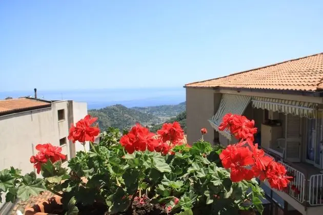 Superior Tek Büyük Yataklı Oda, 1 Büyük (Queen) Boy Yatak, Dağ Manzaralı