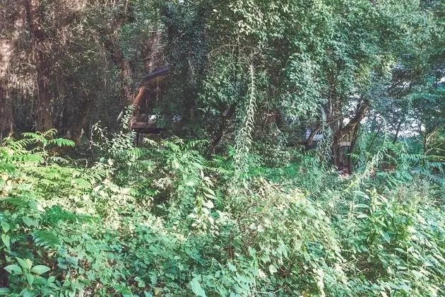 Deluxe Kır Evi, Dağ Manzaralı