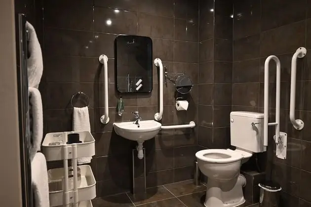 Standard Tek Büyük Yataklı Oda, Engellilere Uygun (Ground Floor)