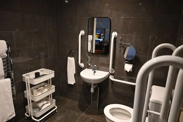 Standard Tek Büyük Yataklı Oda, Engellilere Uygun (Ground Floor)