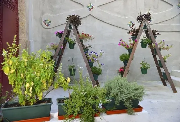 Superior Tek Büyük veya İki Ayrı Yataklı Oda, Teras, Bahçe Manzaralı