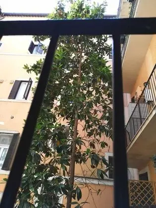 Classic Tek Büyük Yataklı Oda