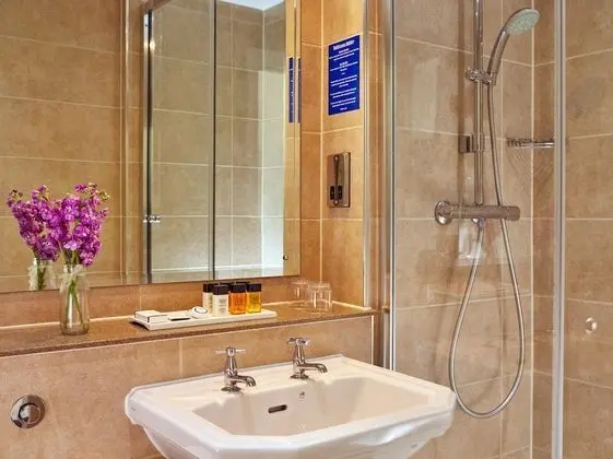 Superior Tek Büyük Yataklı Oda, 1 Çift Kişilik Yatak