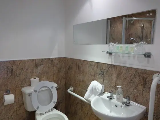 Tek Büyük Yataklı Oda, Banyolu/Duşlu, Zemin Kat (Room1)