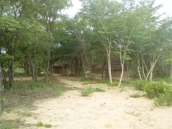 Dağ Evi
