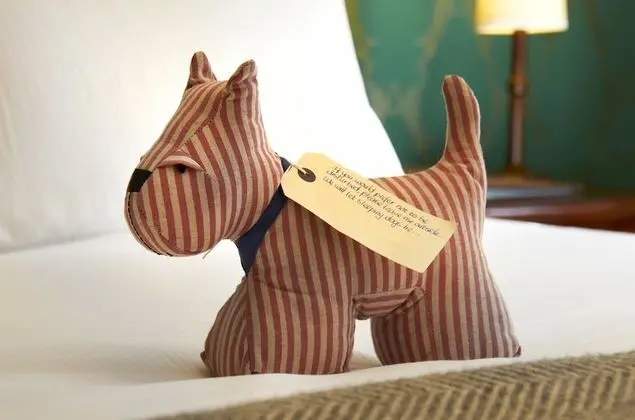 Classic Tek Büyük Yataklı Oda (Small)