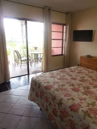 Villa, 1 Yatak Odası