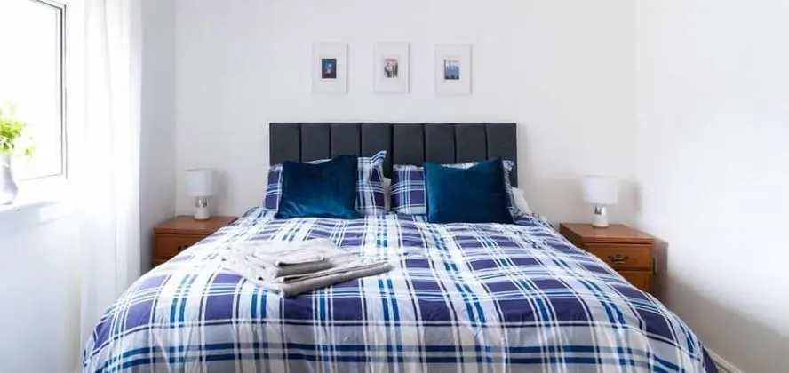 Comfort Tek Büyük Yataklı Oda, 1 Çift Kişilik Yatak (Blossom)