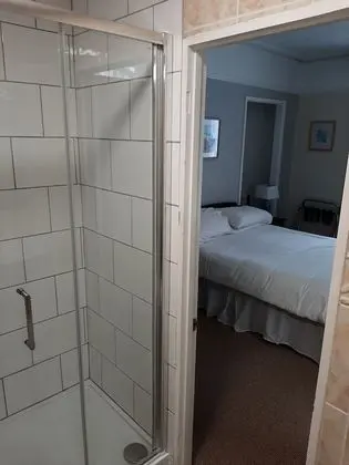 Traditional Tek Büyük Yataklı Oda, Banyolu/Duşlu (Shower)