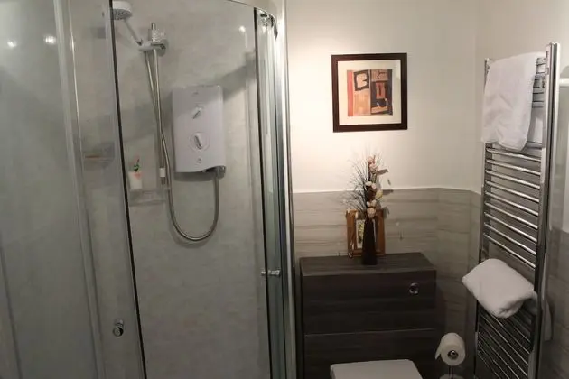 Tek Büyük Yataklı Oda, Özel Banyo (External)