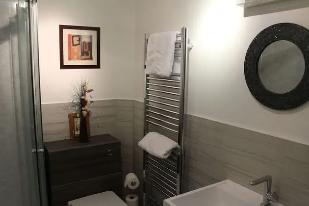 Tek Büyük Yataklı Oda, Özel Banyo (External)