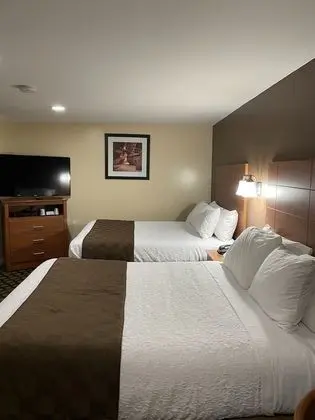 Standard Room Two Queens