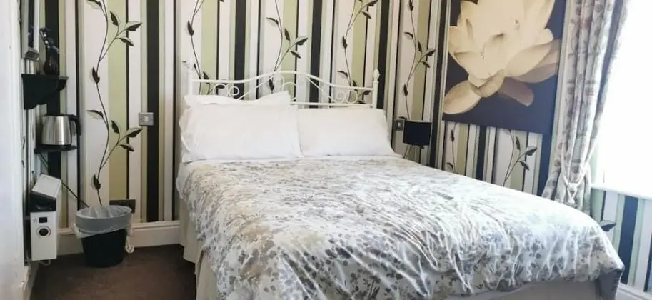 Standard Tek Büyük Yataklı Oda, 1 Çift Kişilik Yatak