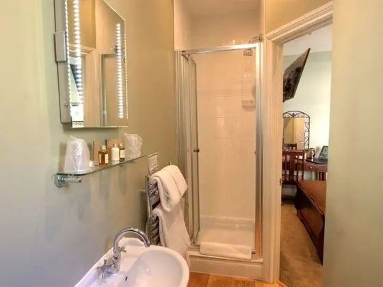 Economy Tek Büyük Yataklı Oda, Banyolu/Duşlu (with shower)