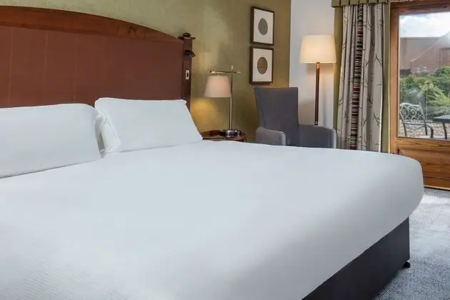 Superior Tek Büyük Yataklı Oda (VIQ Room)
