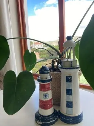Deluxe Süit