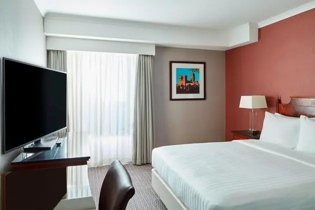 Deluxe Oda, 1 En Büyük (King) Boy Yatak