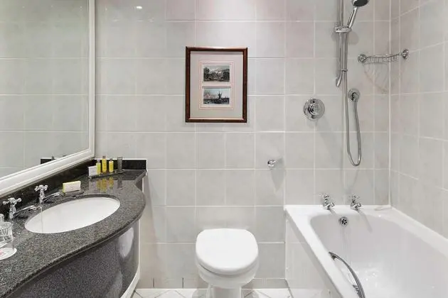 Deluxe Oda, 1 En Büyük (King) Boy Yatak