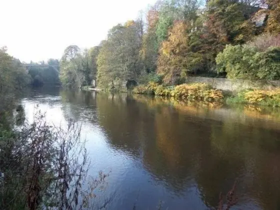 Luxury Apart Daire, Banyolu/Duşlu