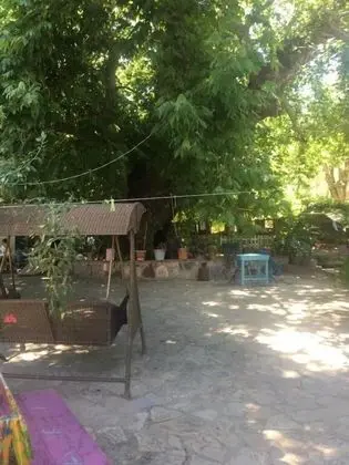 Aile kulübe