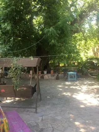 Family House