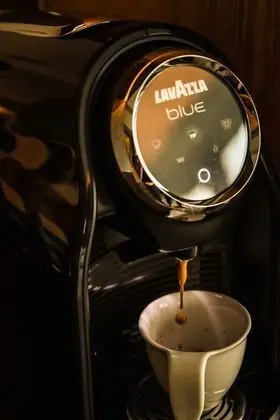 Deluxe Oda, 2 Tek Kişilik Yatak (Laguna)
