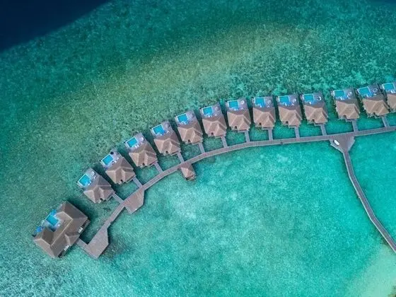 Villa, Kişiye Özel Havuzlu (Ocean)