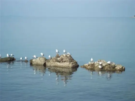 Apart Daire (Duskica - close to the sea - A1(4+2))