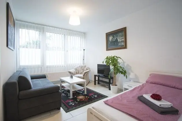 Deluxe Apart Daire, 1 Yatak Odası (9)