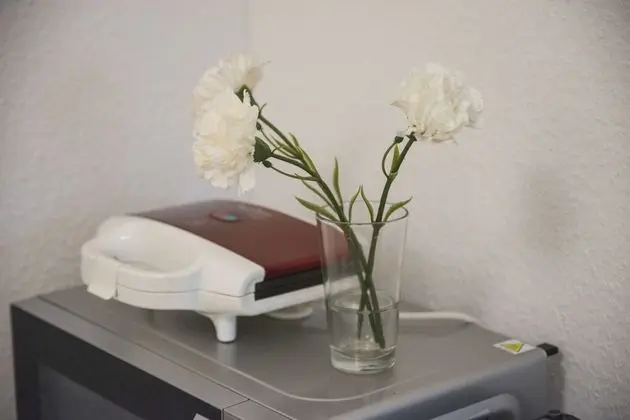 Deluxe Apart Daire, 1 Yatak Odası (9)