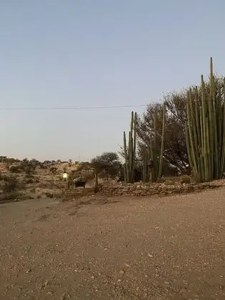 Tek Büyük Yataklı Oda (African)