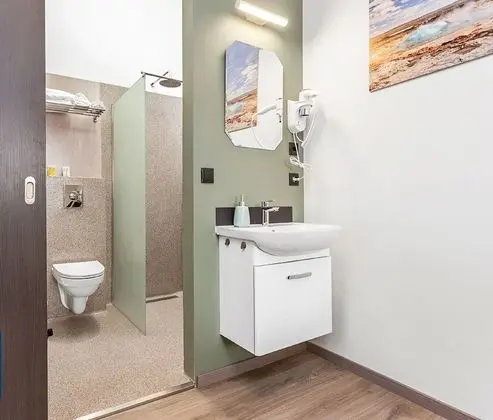 Standard Tek Büyük Yataklı Oda, Özel Banyo