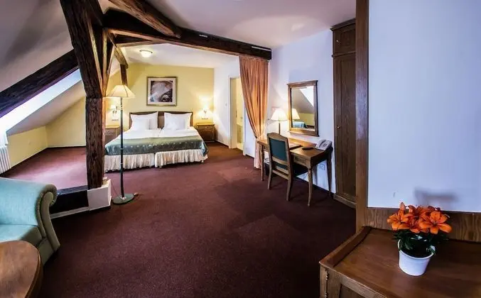 Deluxe Tek Büyük Yataklı Oda, Şehir Manzaralı