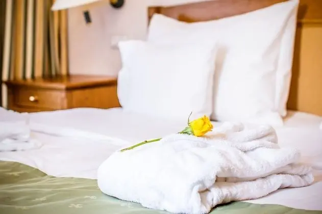 Tek Kişilik Oda (Castle View)