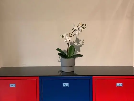 Deluxe Ortak Ranzalı Oda, Sadece kadınlar için