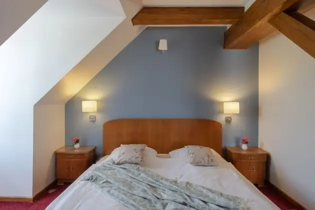 Superior Tek Büyük Yataklı Oda