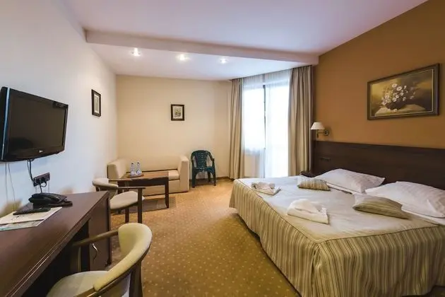 Luxury Tek Büyük Yataklı Oda