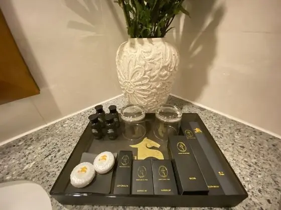 Deluxe Tek Büyük veya İki Ayrı Yataklı Oda