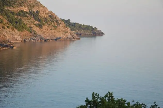 Deluxe Oda, 1 Yatak Odası, Deniz Manzaralı
