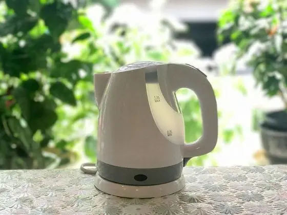 Tek Büyük Yataklı Oda, Sigara İçilebilir