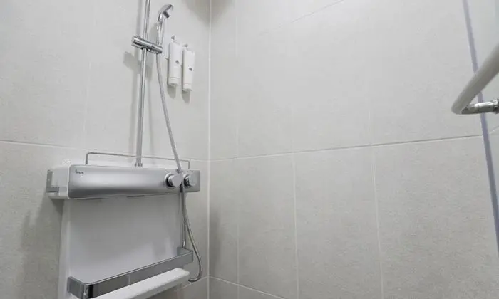 Standard Tek Büyük Yataklı Oda, Dağ Manzaralı