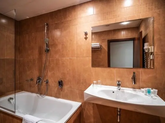 Executive Tek Büyük veya İki Ayrı Yataklı Oda, Balkon