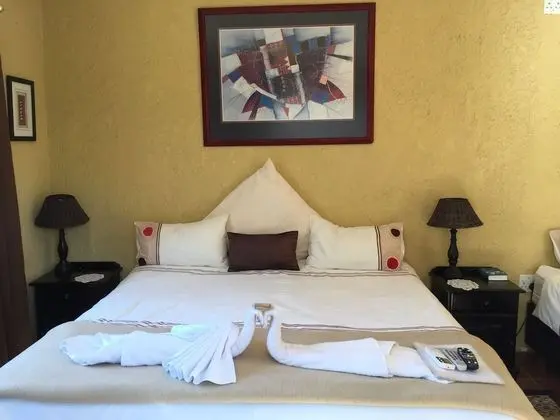 Lion Suite