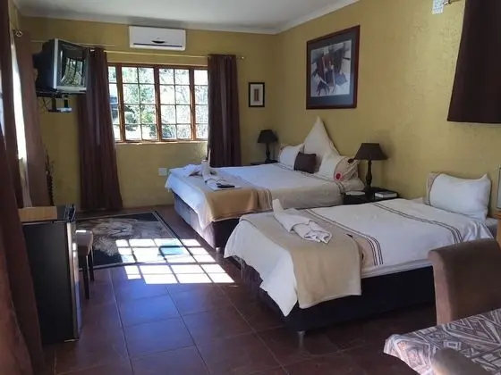 Lion Suite