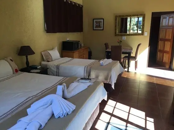 Lion Suite