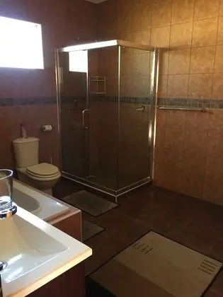 Lion Suite