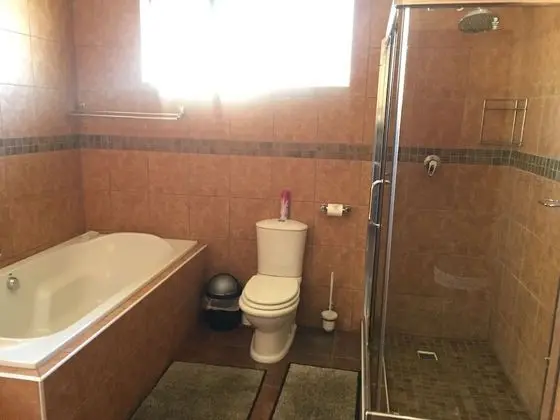 Lion Suite